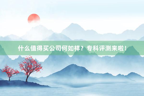 什么值得买公司何如样？专科评测来啦！